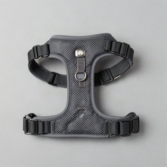 Reflective Padded Harness