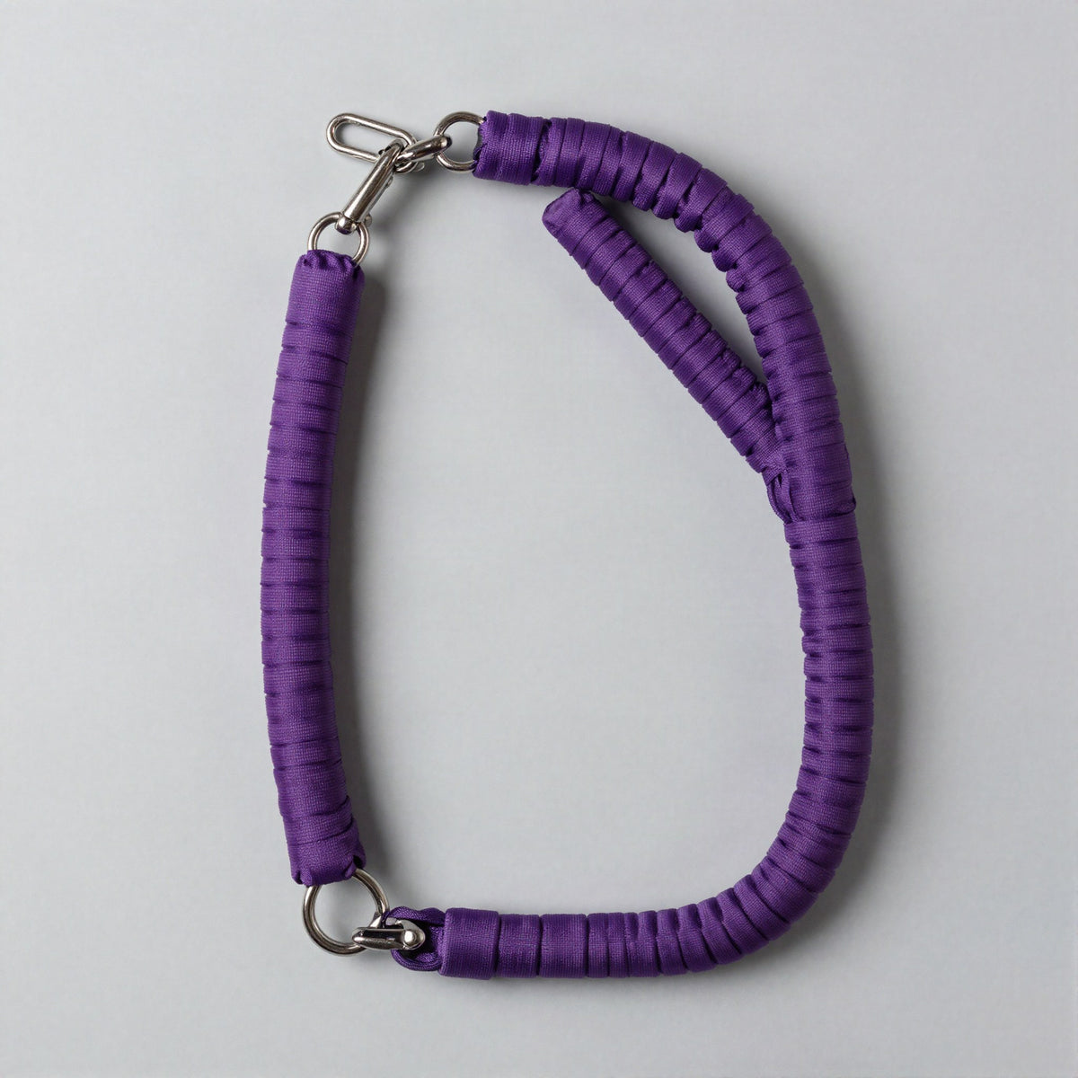 Bungee shock absorber leash coiled by the front door